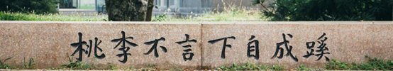 510f8191309c453a9caad83f340850d6.png image.png